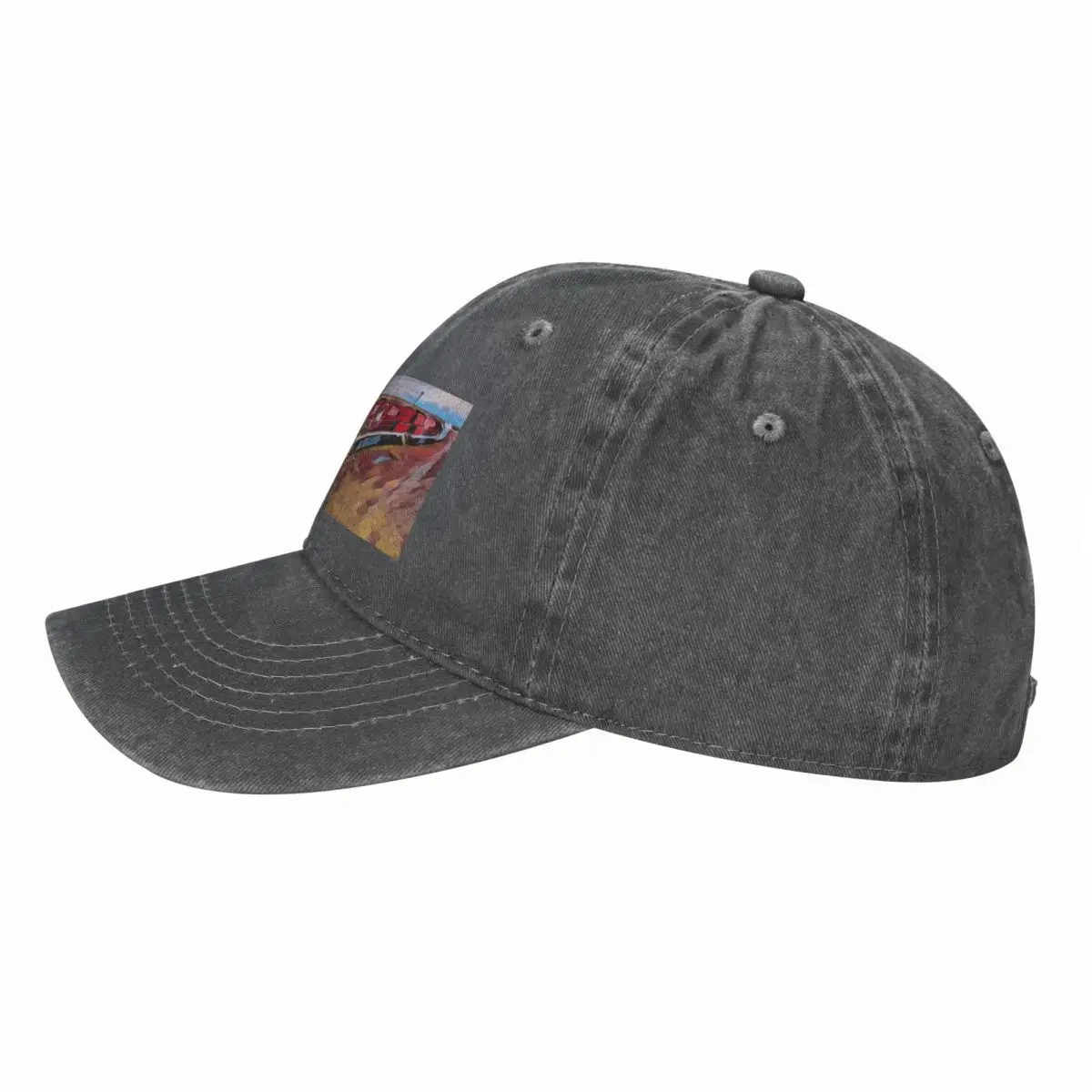 قبعة بيسبول The Ghan Train Aus - مراجعة Streetwear Brand Hats وسعره